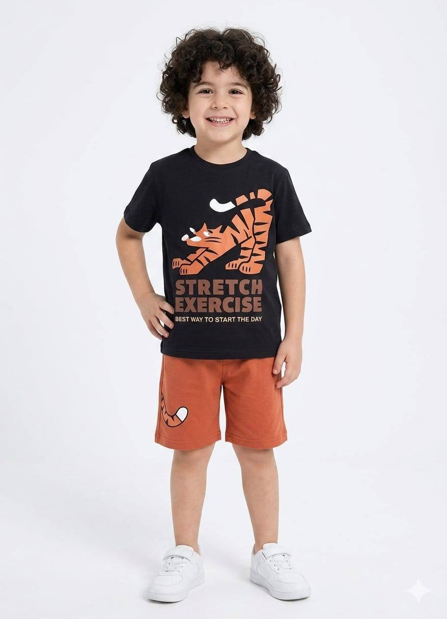 Boys Sonic the Hedgehog Summer Set – Cartoon Printed T-Shirt & Blue Cotton Shorts | Kids Outfit WR006B