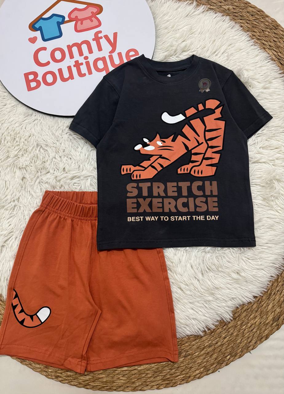 Boys Sonic the Hedgehog Summer Set – Cartoon Printed T-Shirt & Blue Cotton Shorts | Kids Outfit WR006B