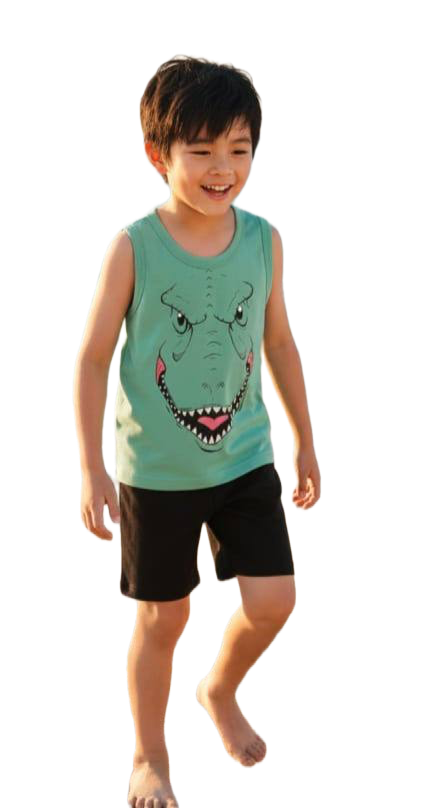 Boys Dinosaur Face Summer Outfit – Sleeveless Tank Top & Shorts Set – Soft Cotton Beach Wear – Mint Green & Black